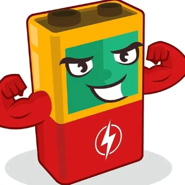 Lithium Battery Global Discount Supermarket Store