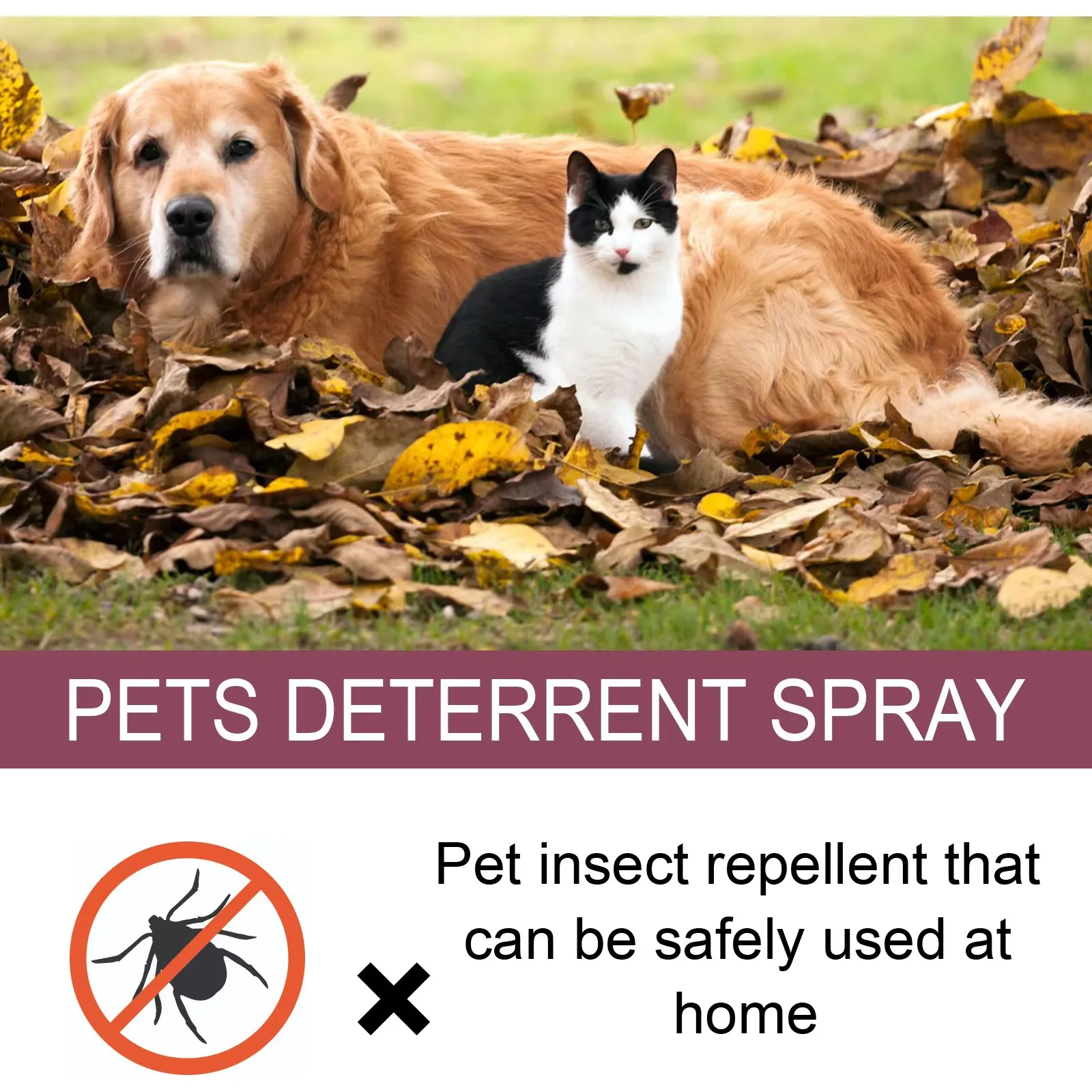 PULVERIZADOR repelente de insectos para mascotas, pulgas, piojos, garrapatas, esterilización, alivia la picazón de la piel, adecuado para