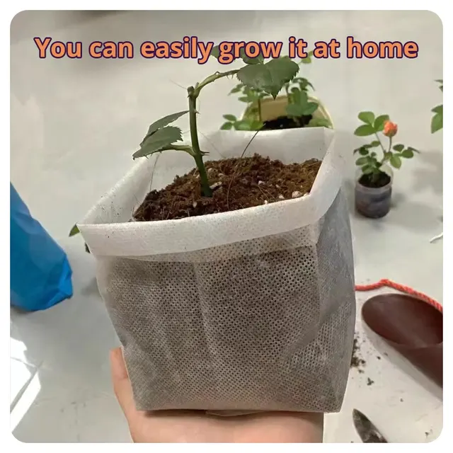 100Db Nem Szőtt Biológiailag Lebontható Növények Óvodás Táskák Vetőzsákok Otthoni Kerti Üvegházak Készletek - Image 3