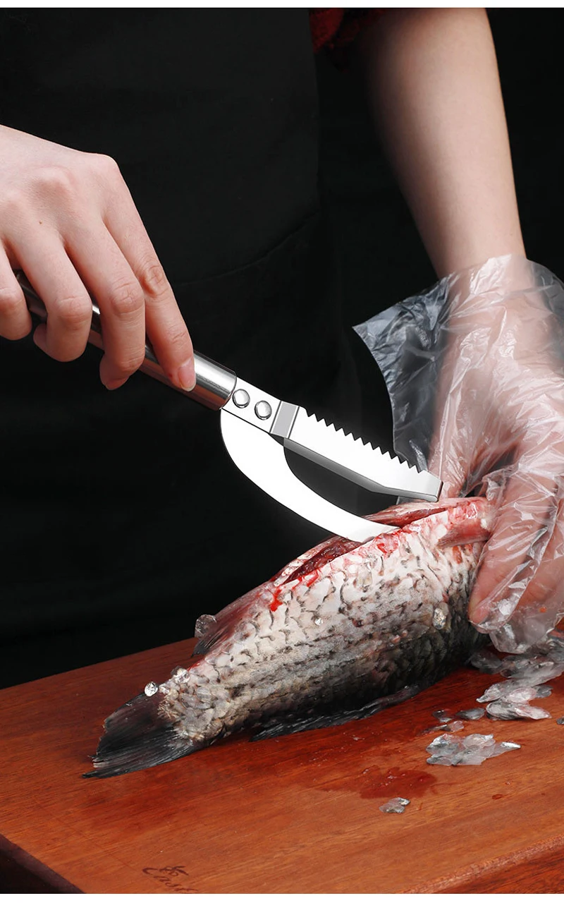 Scale Fish Scraper - Angle 7