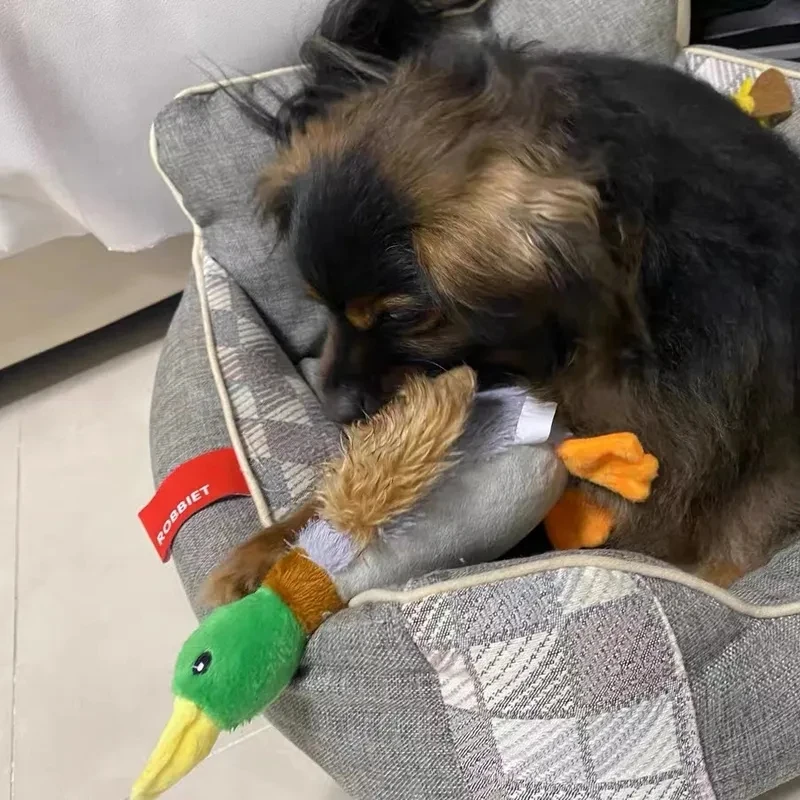 Plush Duck Dog Toy 2