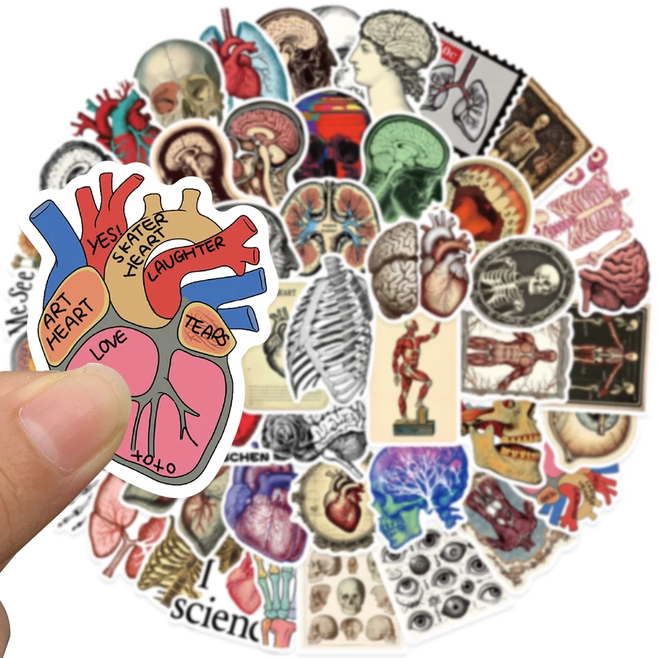 Adesivi Organi Umani Cartoon - 50 Pezzi Unici Per Decorare Laptop E Bottiglie