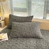 3pcs Set Velvet Bed Sheet Set (1PC Fitted Sheet and 2PCS Pillowcase) Winter Warm Mattress Cover Bed Cover 90/140/160/180/200x200 5