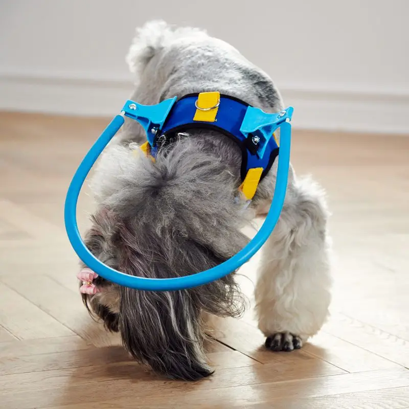 2024 New Blind Dog Harness Guiding Halo 2