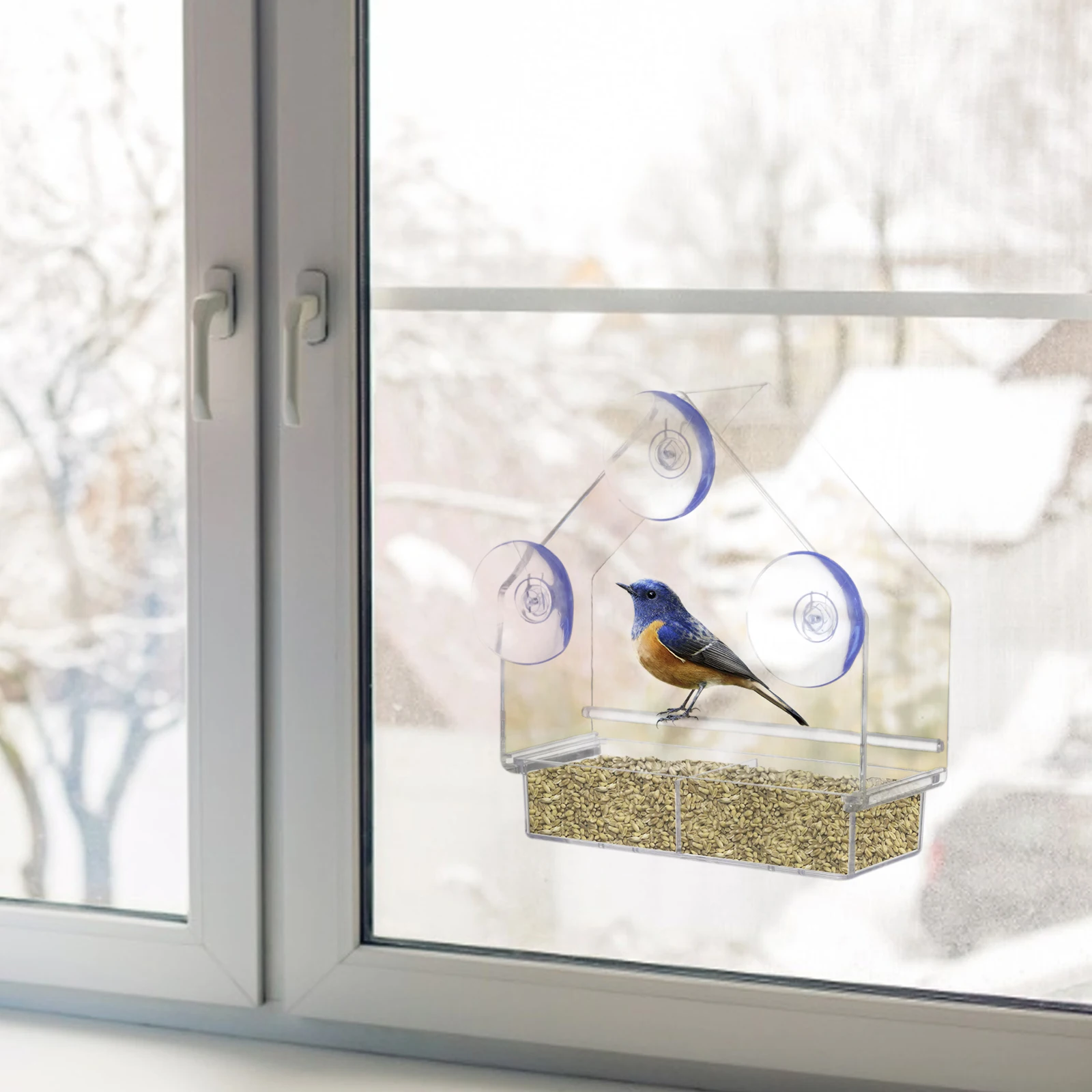 Window Bird Feeder House Shape, Transparent, Suction Cup Outdoor Birdfeeders