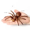 Spider 2
