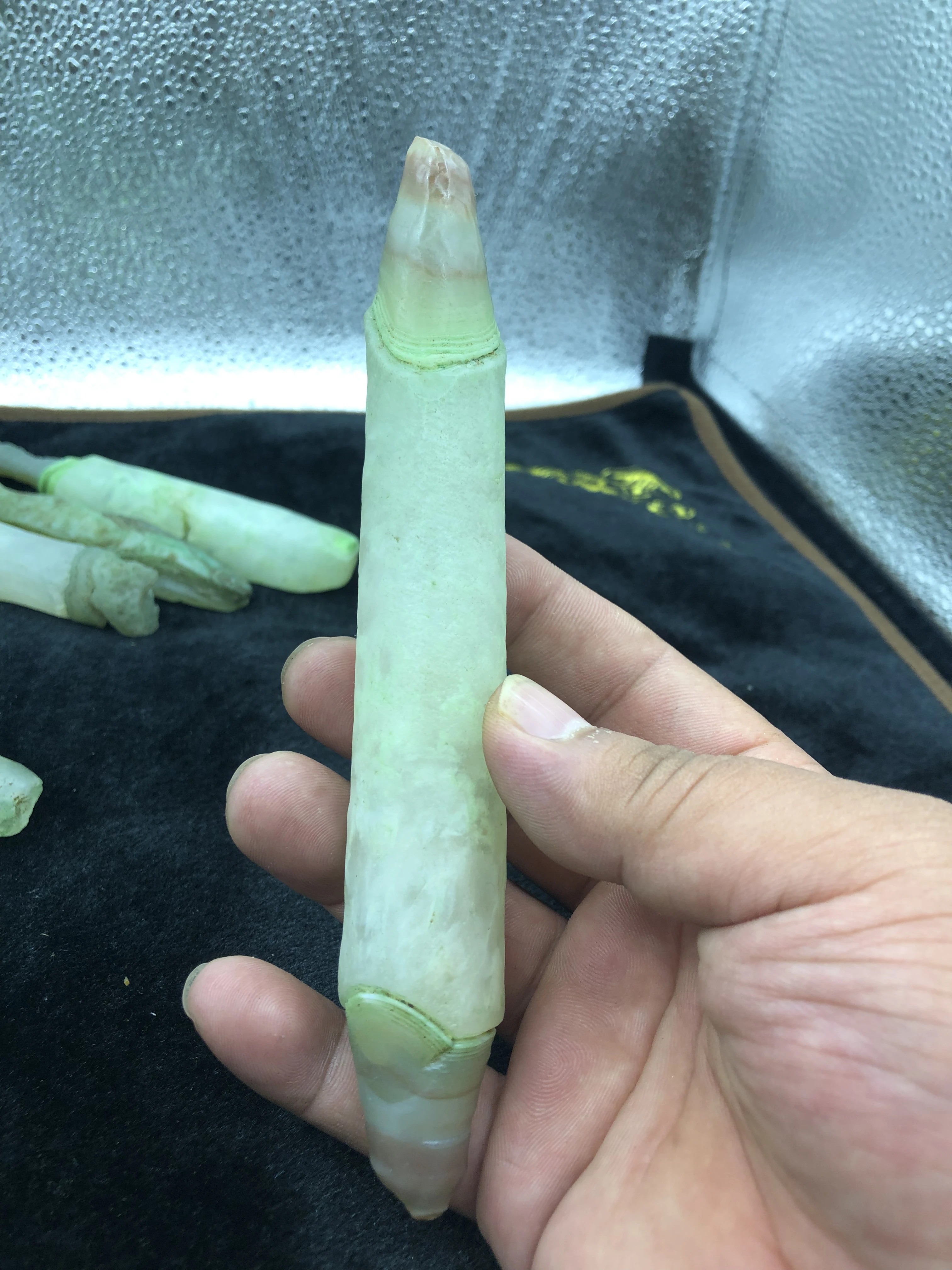 thumb