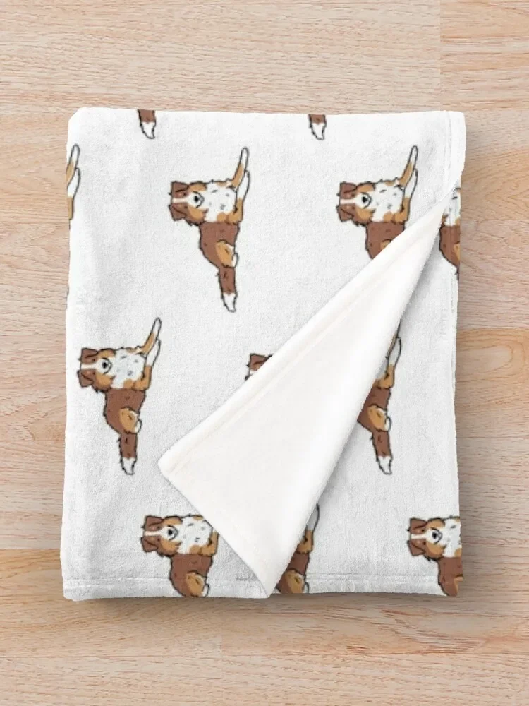 ȣ�� ��ġ�� �� �Ϳ��� �Ϸ���Ʈ-����, Ʈ���� ����Ʈ���ϸ��� ��ġ�� ������ ���, ���� ũ�������� ���� ���