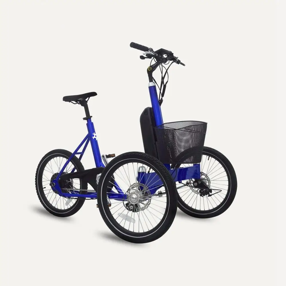 

Three wheels 250W electric cargo bike for family use UB9021E