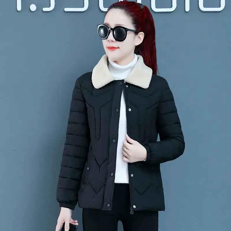 

Women Winter Jacket Down Cotton Short Fashion Casual Puffer Thick Padded Jackets Female Outerwear Coats for Women Parka Mujer