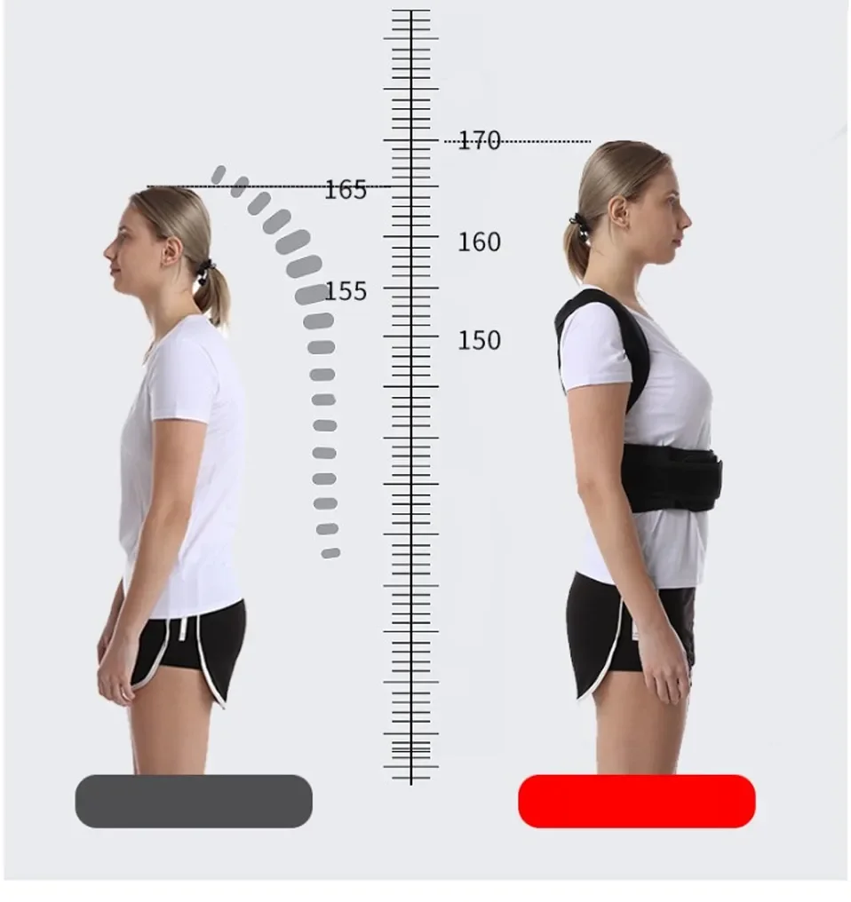 Description Picture 3 of itemMagnetic Bar Shoulder Bone Care Support Correction Back Brace Straightener Posture Corrector Vest Scoliosis Back Orthopedic Belt