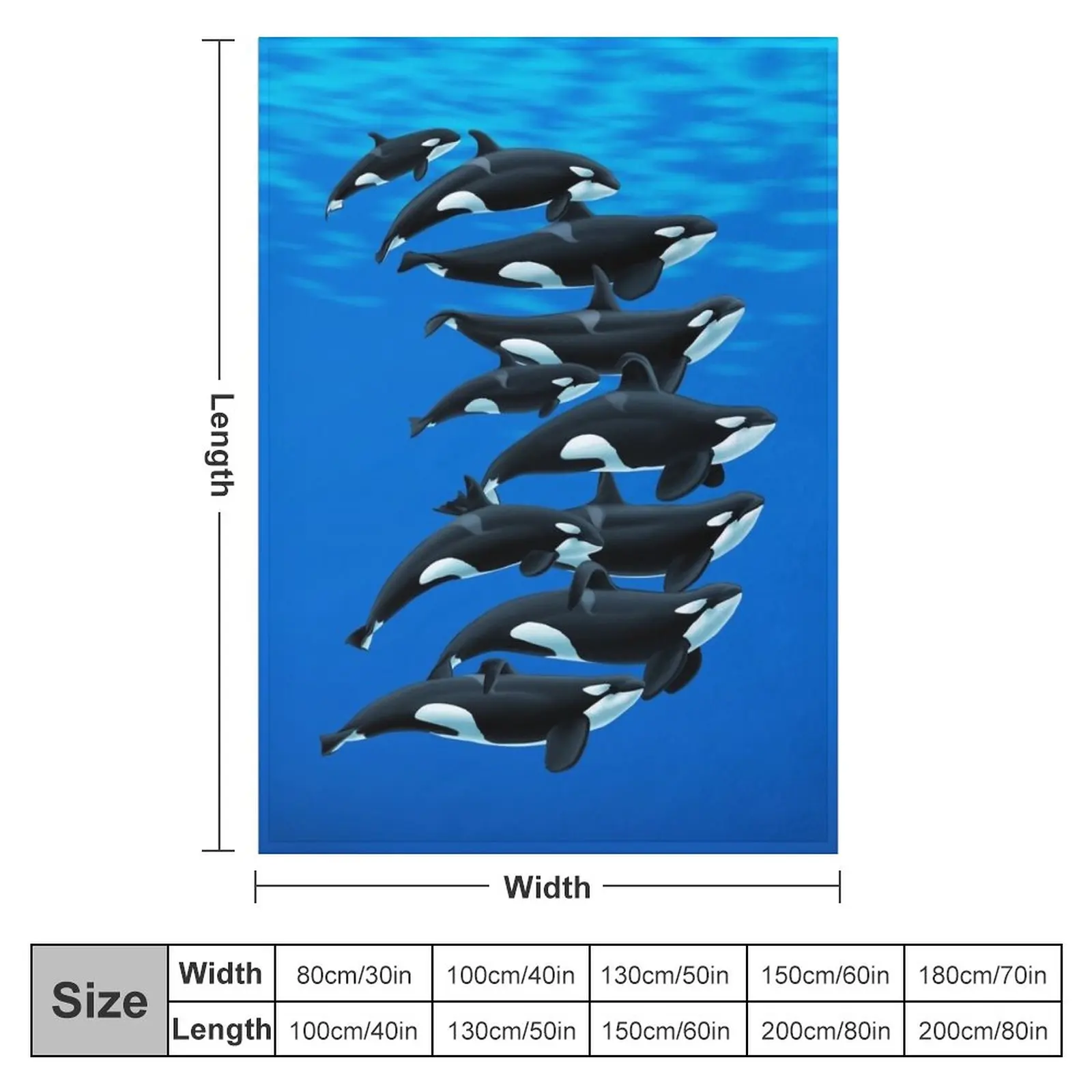 Ķ�����Ͼ� ����ī�� 2020 ������ ���, ���Ŀ� ���� ���, ���� ���