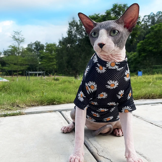 Chic Sphynx Cat Spring Summer Wearing Cat Apparel Kitten Jumper Hairless Cat  Outfits Coat Kitty Luxury Cat Clothes - Cat Coats & Jackets - AliExpress