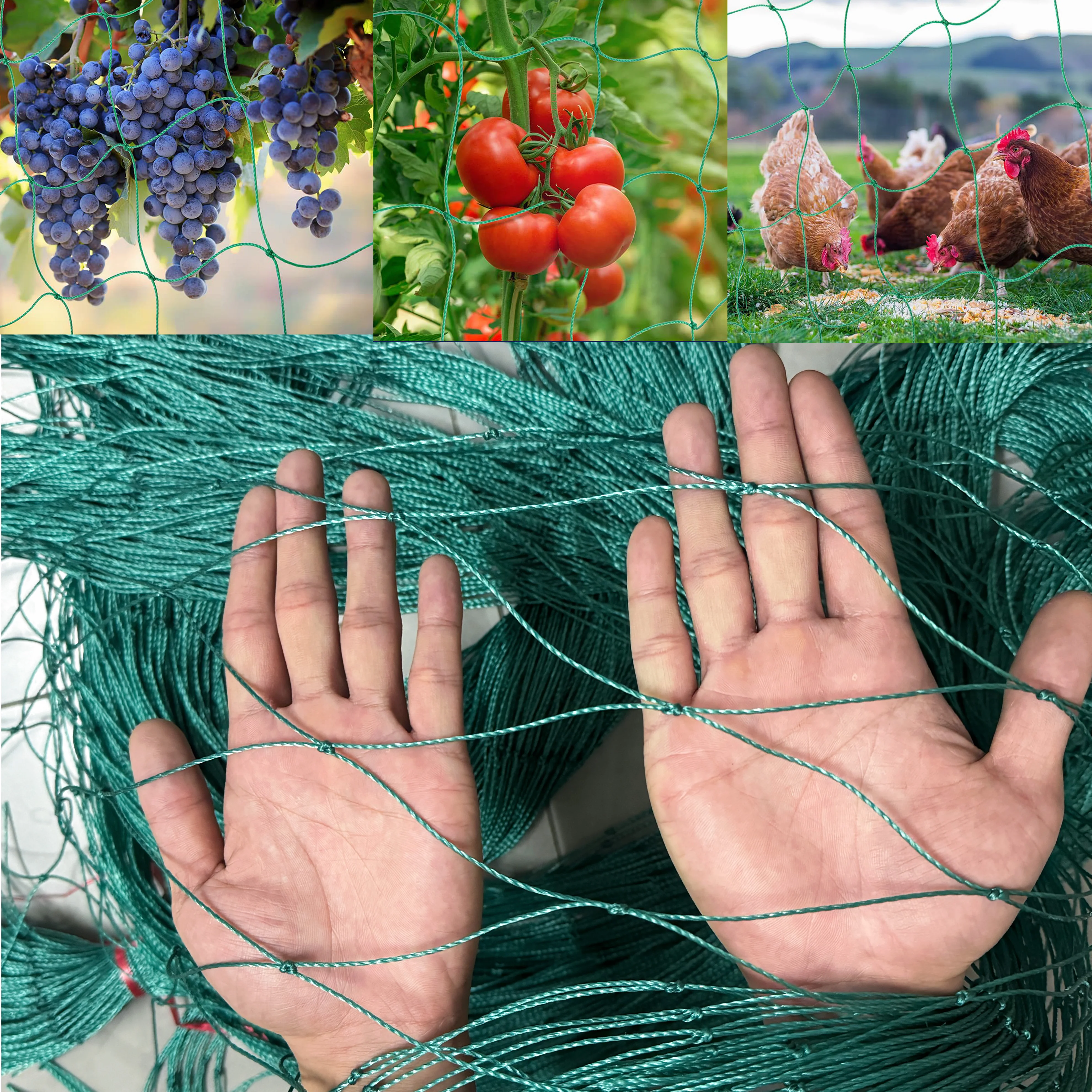 רשת תמיכה לצמחים לגינה כבדה, רשת תמיכה לצמחים לחממה לגינה, עגבניות