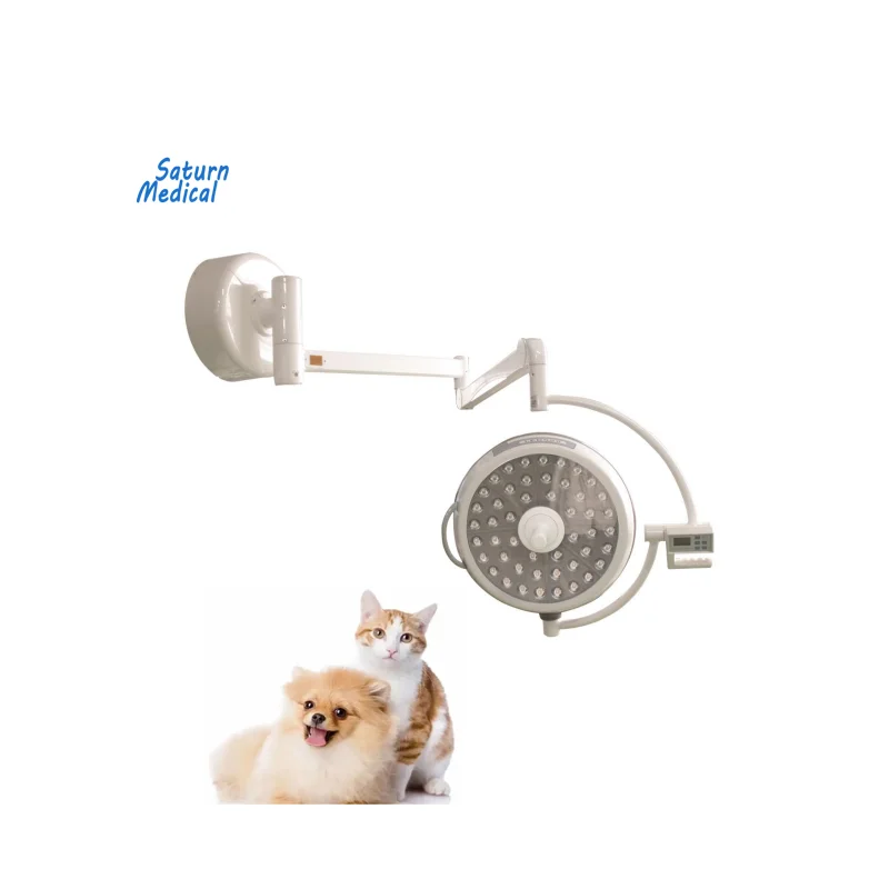 

Wall mounted dual head cold light shadowless LED vet pet animal clinic hospital veterinary surgery operation operating lamp