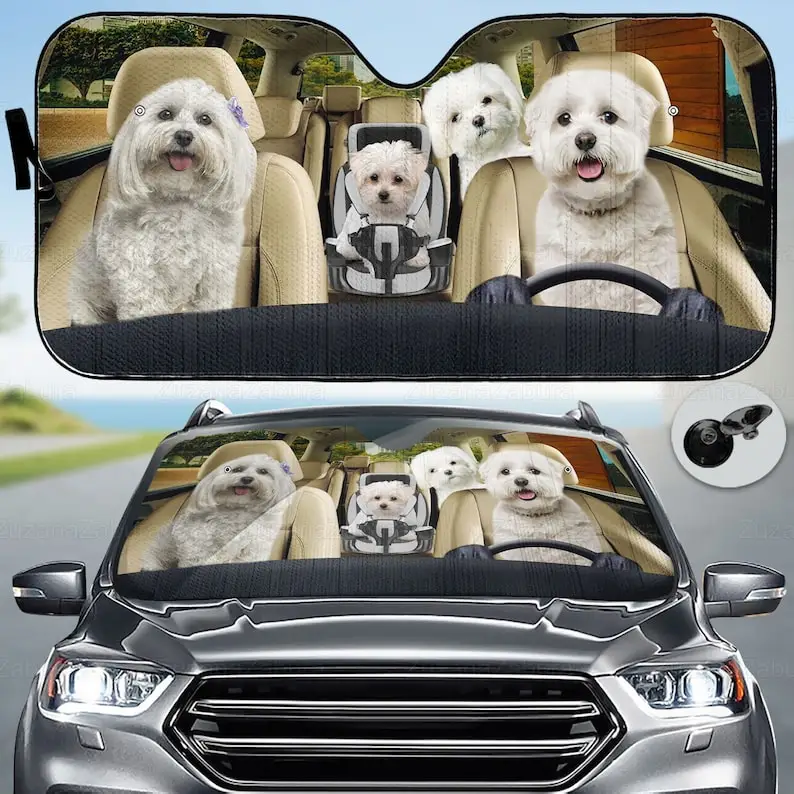 

Maltese Car Sunshade, Maltese Car Decoration, Maltese Auto Sun Shade, Car Shades For Windshield, Maltese Car Windshield