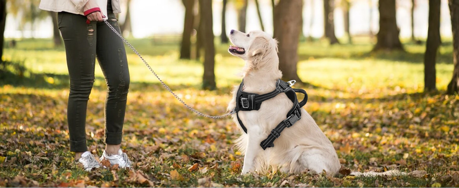 Maxetodo No-Pull Adjustable Dog Harness for Large Dogs - Reflective, No-Choke, Soft Padded Vest with Breathable Mesh