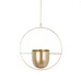 gold A