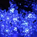 Lotus blue