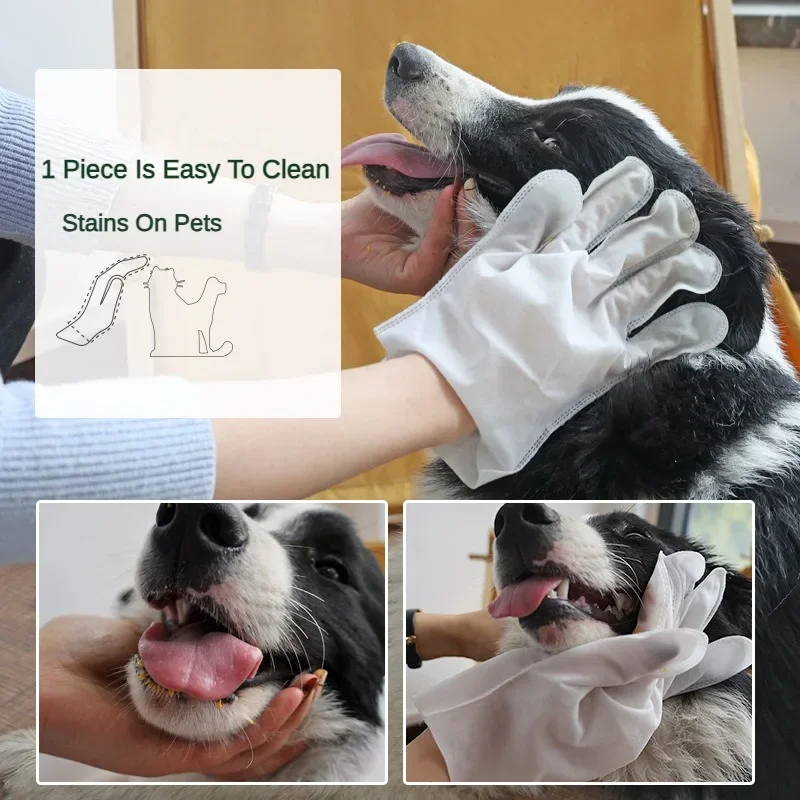 6pcs Pet Disposable Gloves for Dog Bath Cleaning Wipes Mild Deodorizing Full Body Cat Grooming pet cleaning wipes,pet cleaning gloves