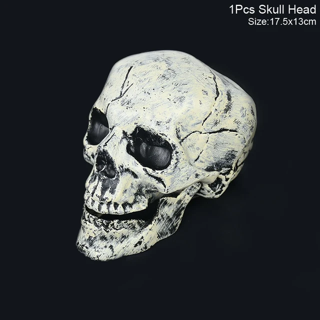 1pcs skull head
