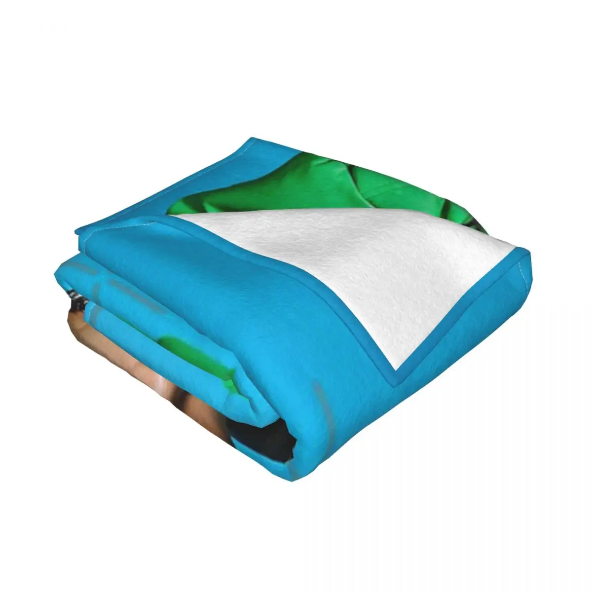 TAEYONG SHALLA ��Ʈ�� ����Ʈ ����ũ�� �ø��� ���