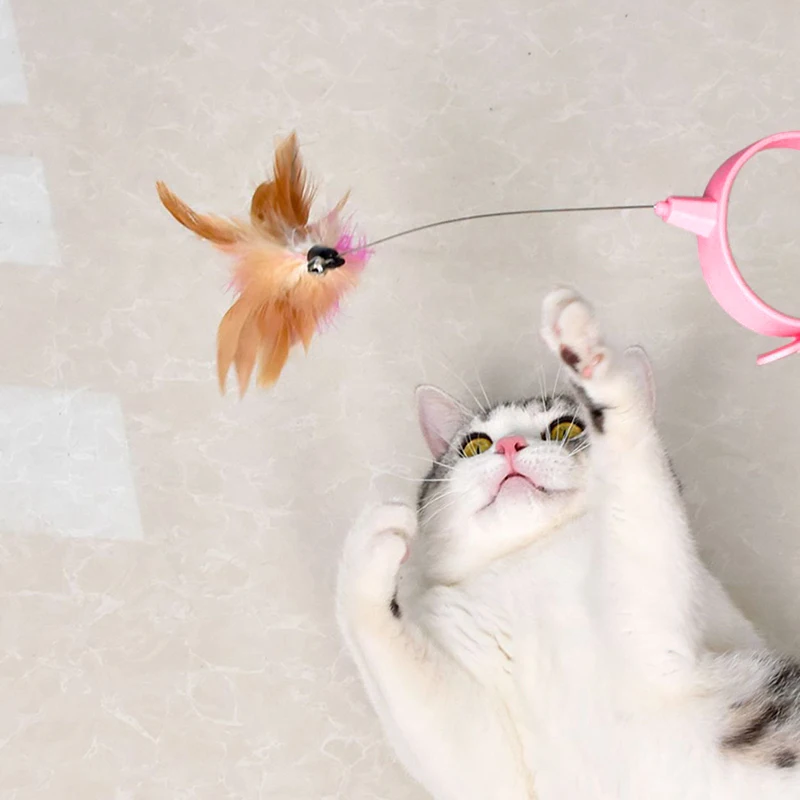https://ae01.alicdn.com/kf/S2e9941c33fcd4ad684ff1ada98975d91x/Cat-Collar-Toys-Interactive-Cat-Toys-Cat-Teaser-Stick-Collar-Self-help-Feather-Teaser-Stick-with.jpg