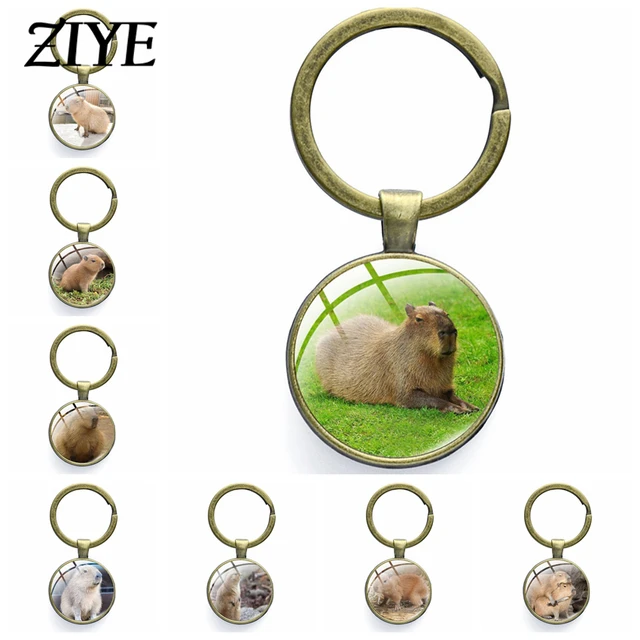 Capivara Aniversário Acrílico Chaveiro, Chaveiro Animal dos desenhos  animados, Capivaras Chaveiro Cadeias para Saco, Pingente Criativo,  Acessórios Presente - AliExpress