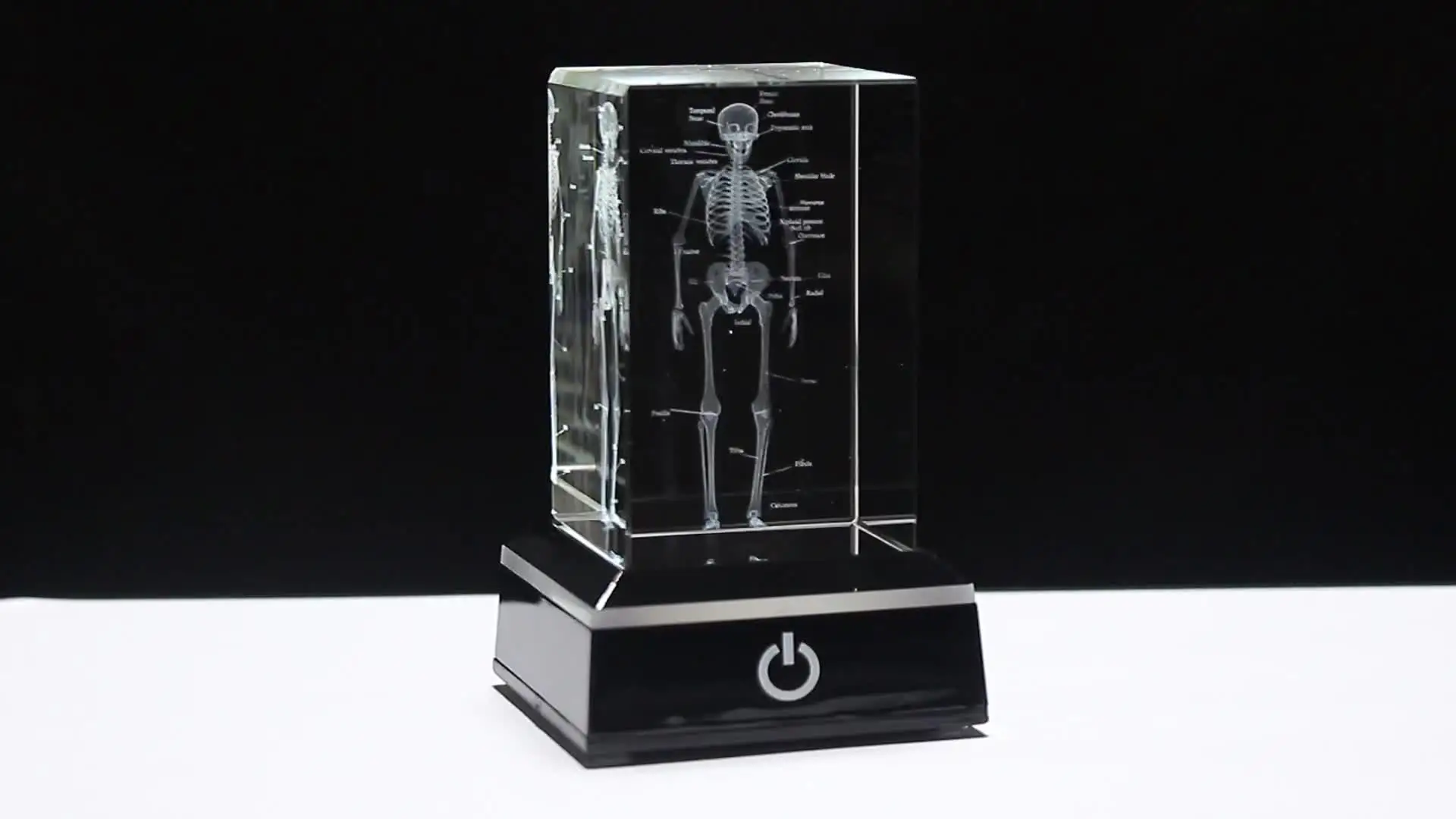 3D Lasergravur Menschliches Skelett Kristallwürfel - Anatomie Deko Mit Silber Sockel