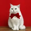 Beautiful Cat Neck Strap Comfortable Pet Bowtie Safe Buckle Dress-up Pet Kitten Cat Velvet Bowknot Collar Small Dog Cat Supplies 2