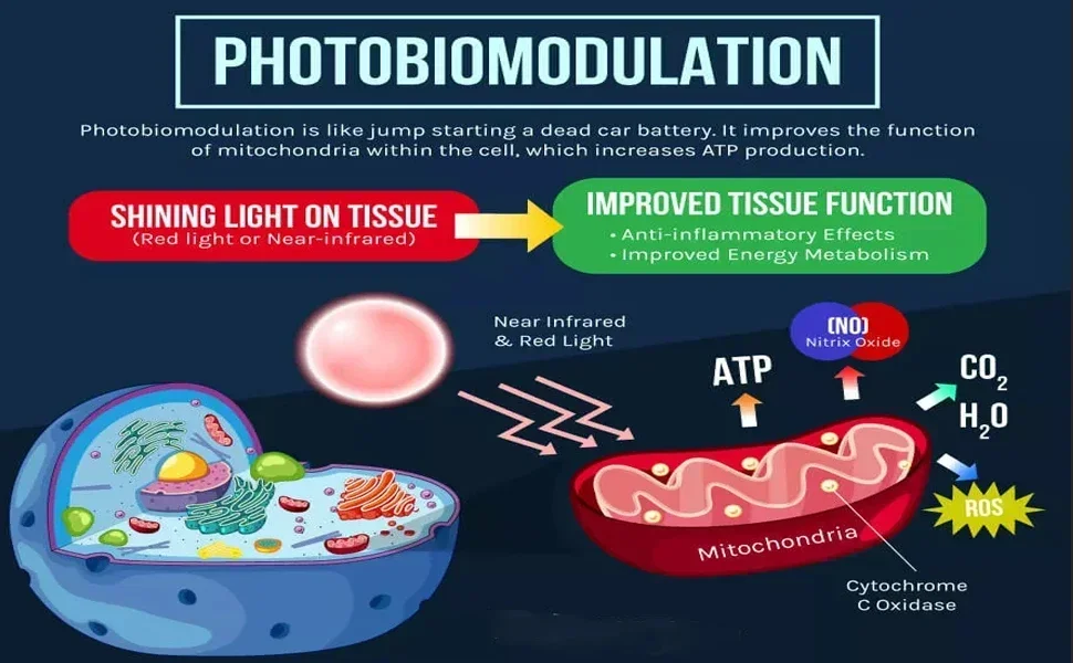 Premium Handheld Red Light Therapy Torch – Deep Tissue Pain Relief, Muscle Recovery & Skin Rejuvenation