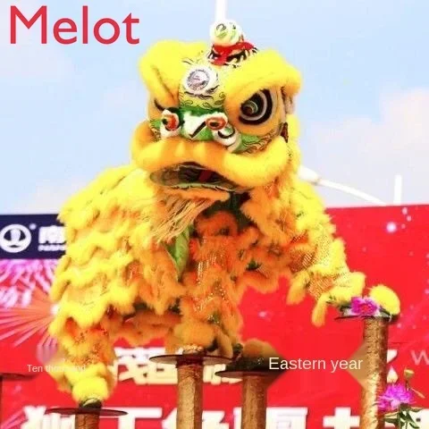 Dragon and Lion Dance Props Complete Set Lion Dance Supplies Adult Full Set