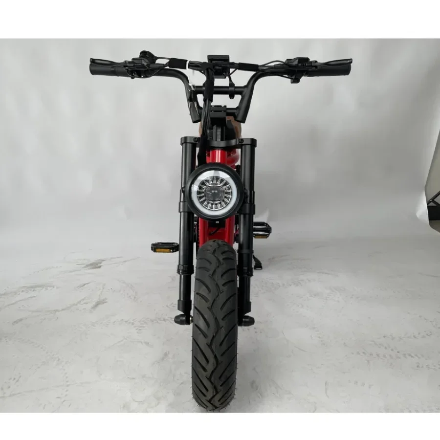 New Electric Off road Bicycle 1200W Super Motor 20Ah Ultra Long Range 20 inch Fat Tire Electric Off road Bicycle