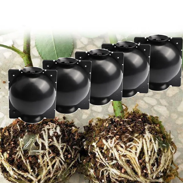 5Db Növényi Gyökérgolyó Golyó Oltó Gyökérgyűjtő Doboz Tenyésztési Tok Kerti Növények Nagynyomású Szaporodási Dobozához