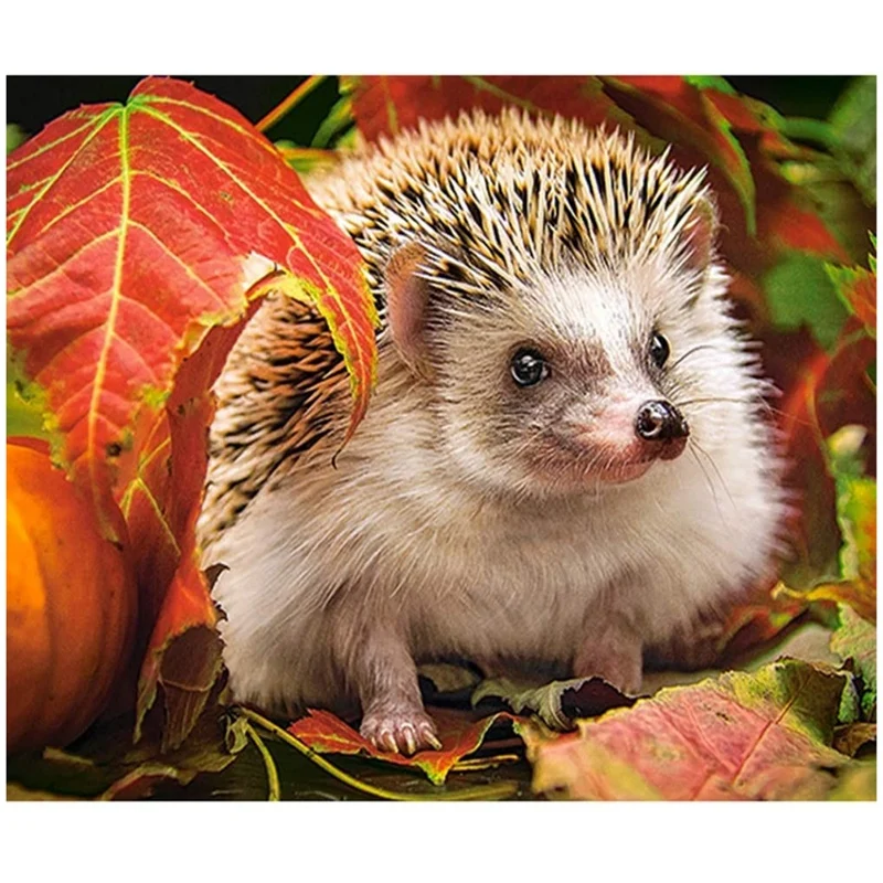 

Quality Diamond Painting Full Drill DIY Kit Cross Stitch Embroidery Arts Diamond Painting Kits For Adults Kids Hedgehog