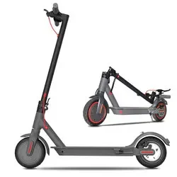 8.5 Pollici Elektrische Step Holland Warehouse Trottinette Lectrique Passo Elettrico Pieghevole A Due Ruote