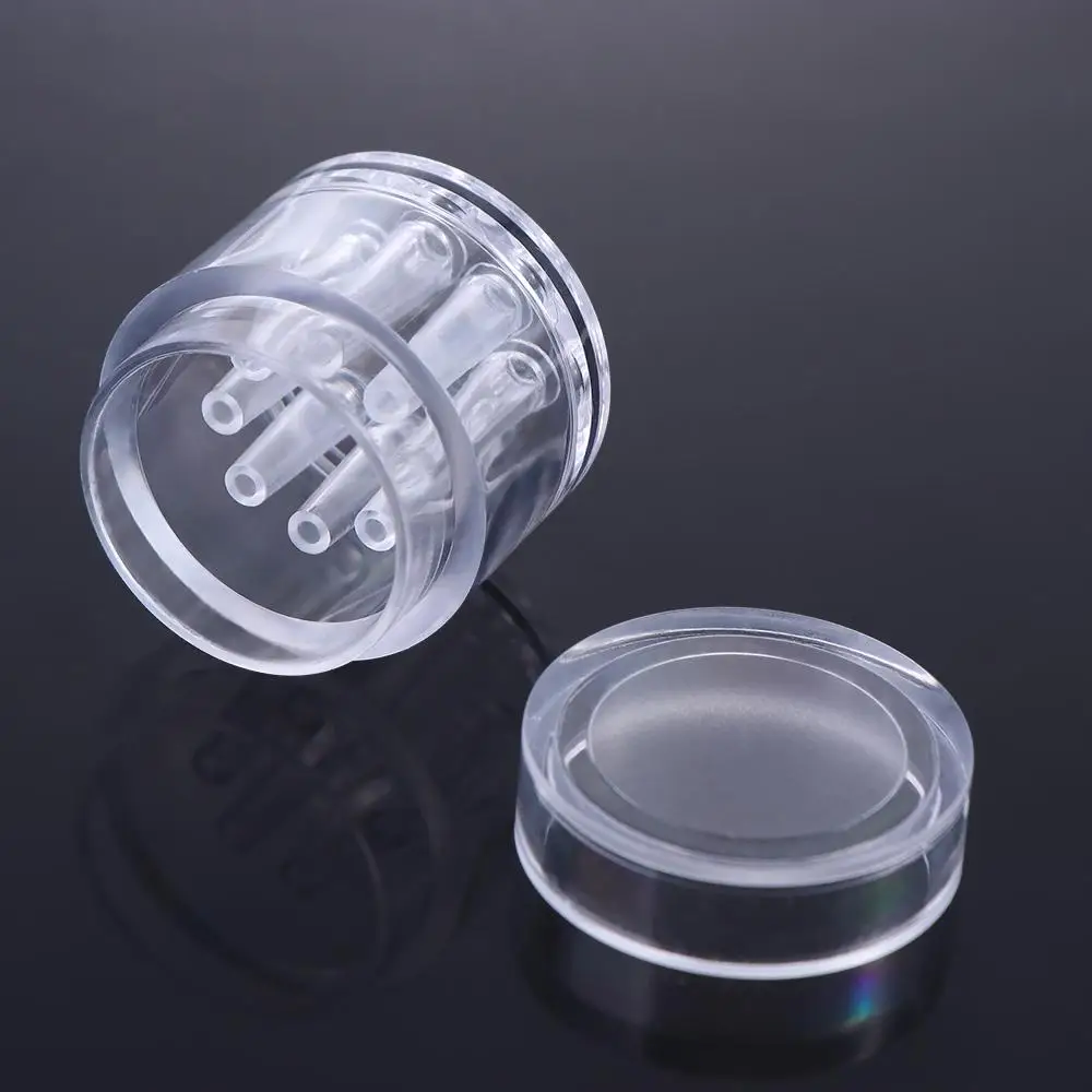8 Hole Planaria for Fish Tank Aquarium Cleaner aquarium decoration