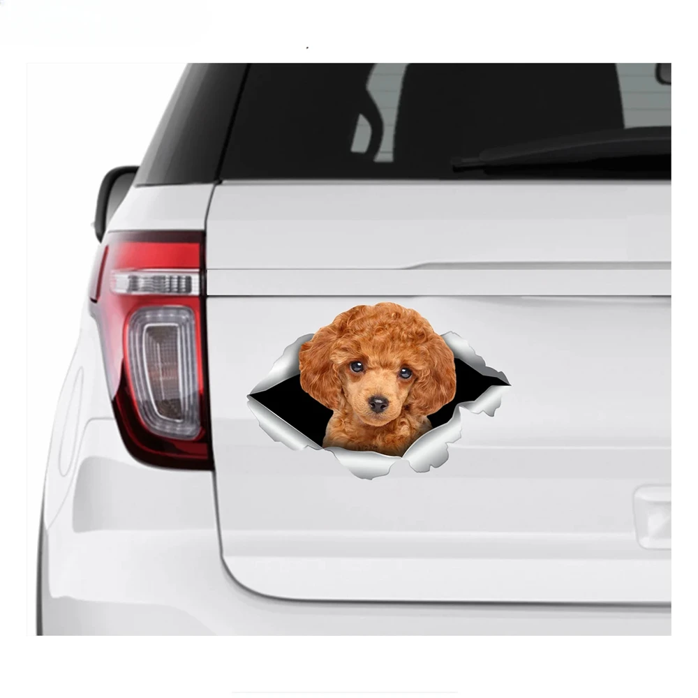 Personalized Customization Dog Car Sticker Waterproof Reflective Sunscreen Occlusion Scratch  Auto Accessories Decals