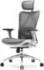 M57 Ergonomic Office Chair with 3 Way Armrests Lumbar Support and Adjustable Headrest High Back Tilt Function Light Grey 1