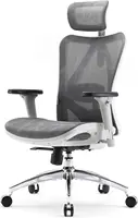 M57 Ergonomic Office Chair with 3 Way Armrests Lumbar Support and Adjustable Headrest High Back Tilt Function Light Grey 1