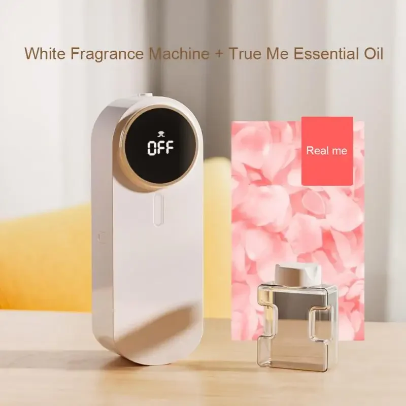 Reed Diffuser Sets USB Portable for Room Fragrance