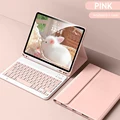 B Pink no mouse