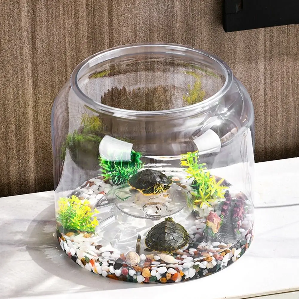 thumbnail image 2 of Beavorty 1set Globe Fish Tank Glass Aquarium For 2 of 13