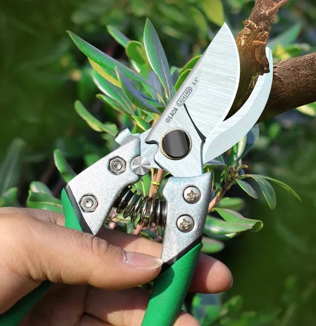庭の剪定ばさみ果樹園の園芸鋏、庭の剪定ばさみ 剪定ばさみ プロ仕様 高耐久 剪定鋏 園芸用はさみ 果樹 庭木の剪定