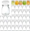 4oz Clear Glass Jars With PE Lids,Glass Yogurt Container,Glass Pudding Jars Yogurt Jars for Milk,Jams,Jelly,Mousse,Honey 1