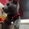 Cat Collar Pet Cat Collar with Bell Cat Face Collar Safety Buckle Cat Collar Glitter Velvet Collar 5