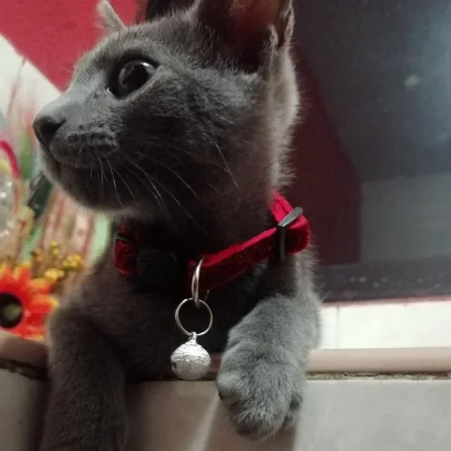 Cat Collar Pet Cat Collar with Bell Cat Face Collar Safety Buckle Cat Collar Glitter Velvet Collar 5