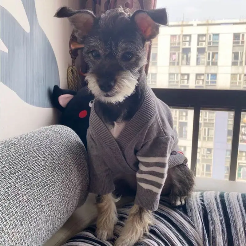 반려동물 귀여운 가디건 강아지 고양이 스웨터, 테디 프리즈 워머, 소형 중형 스웨터, 코트 재킷, 가을, 겨울 패션