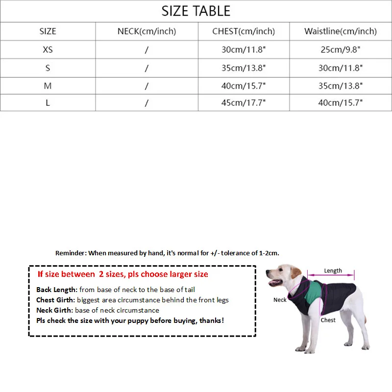 209893-b221a7.jpg Bikini Designer pour Bouledogues - Style Dior/Pawcci - 2025 - Doglovedesign : Vêtement et accessoires pour chiens