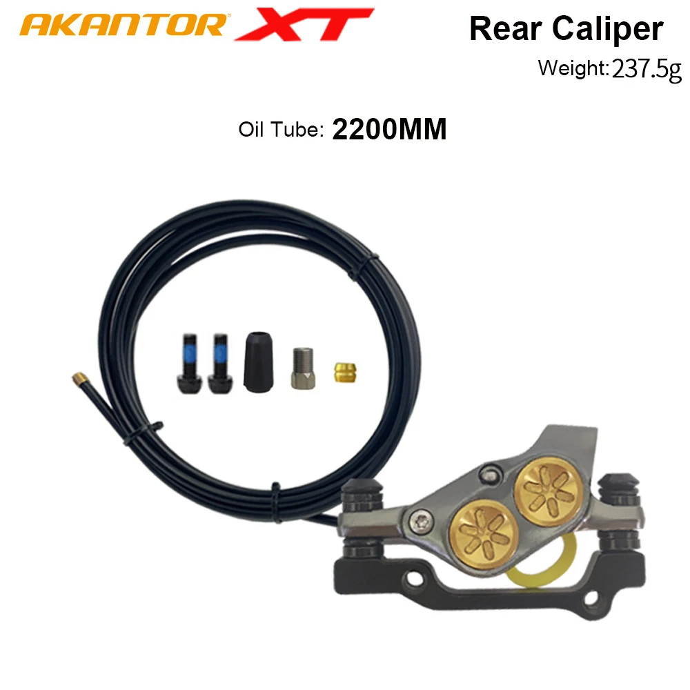 Rear Caliper